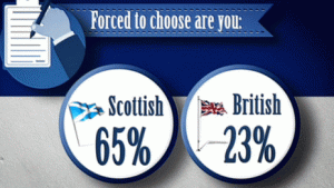 001uO1Oogy6M7ZxzKBVff&690