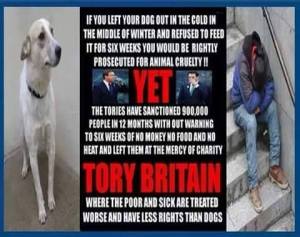 11009980_599842610145762_4028813828967384973_n