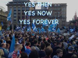 11050159_1550406018554802_1447969684542567979_n