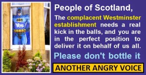 Yes Complacent Westminster Establishment