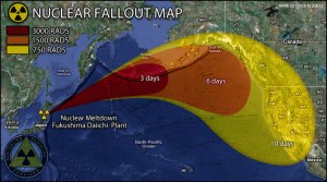 Japan_Nuclear_Reactor_Meltdown_fallout1