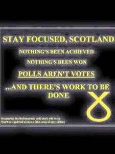 11156342_816960831692450_892496525919344070_n