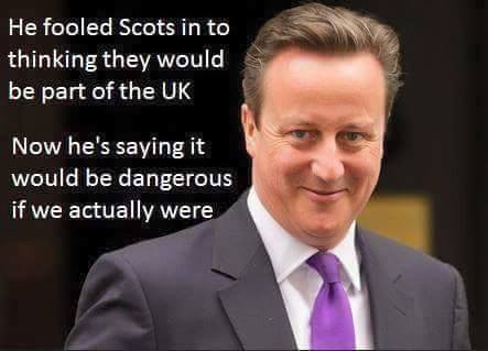 11174908_899738300083865_2185826260044367931_n