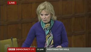 Anna_Soubry_Westminster_Hall