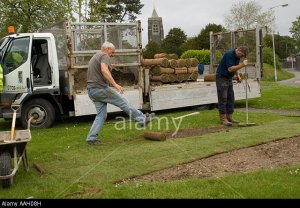AAH08H Two local authority direct labour employees laying new turf   on lawn Lampeter Ceredigion Wales
