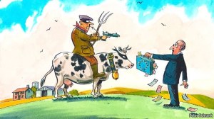 d8ce6-20121124_eud000_0