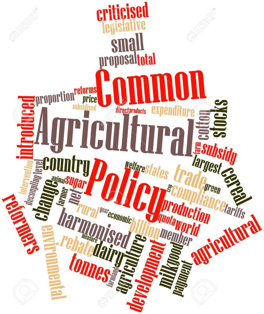 16498591-Abstract-word-cloud-for-Common-Agricultural-Policy-with-related-tags-and-terms-Stock-Photo