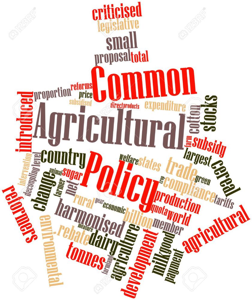 16498591-abstract-word-cloud-for-common-agricultural-policy-with-related-tags-and-terms-stock-photo
