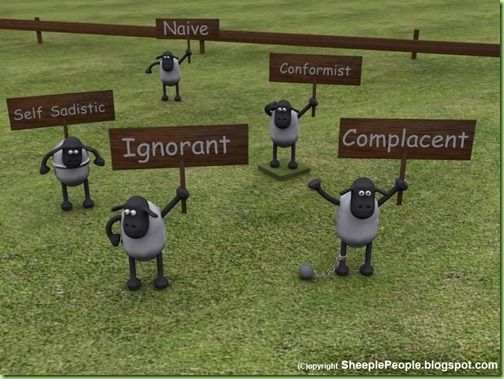 b87e2d17eed1cb243e8e54bb7e7322c5