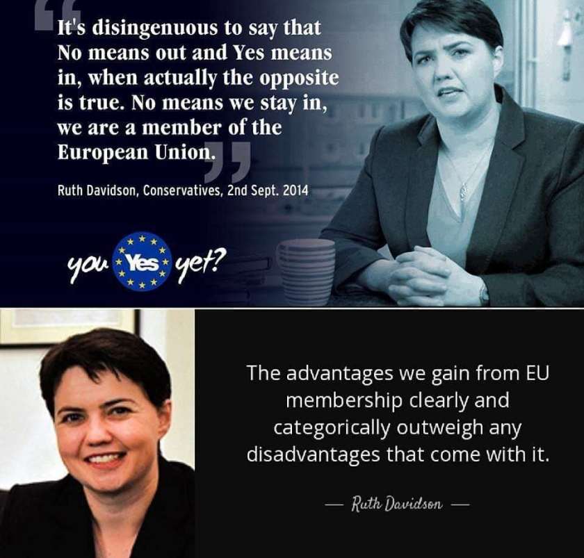 Image result for ruth davidson brexit